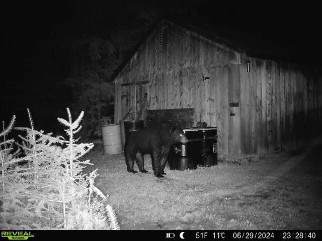 $185,000 | 95 Morneault Road, Grand Isle, ME 04746