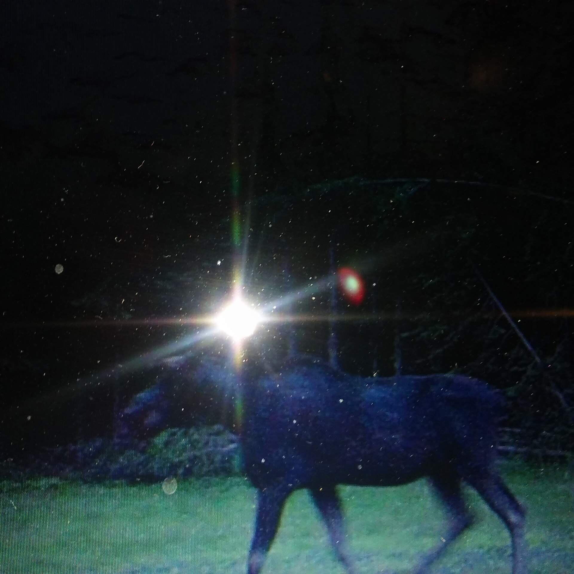 95 Morneault Road Grand Isle, ME 04746 - Photo 23 of 33 3260213874006472159001