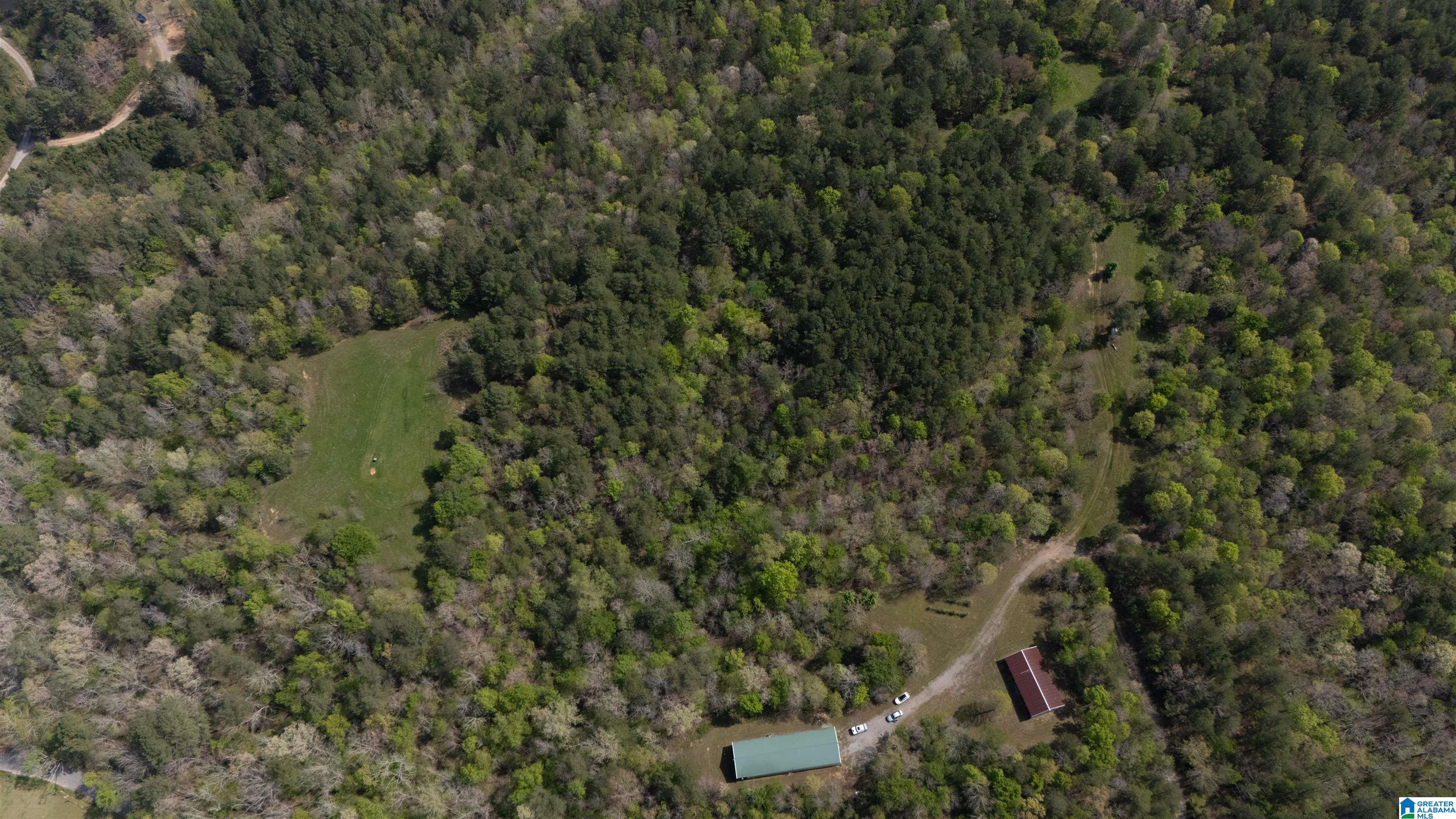 2121 Center Hill Road Trafford, AL 35172 - Photo 61 of 100