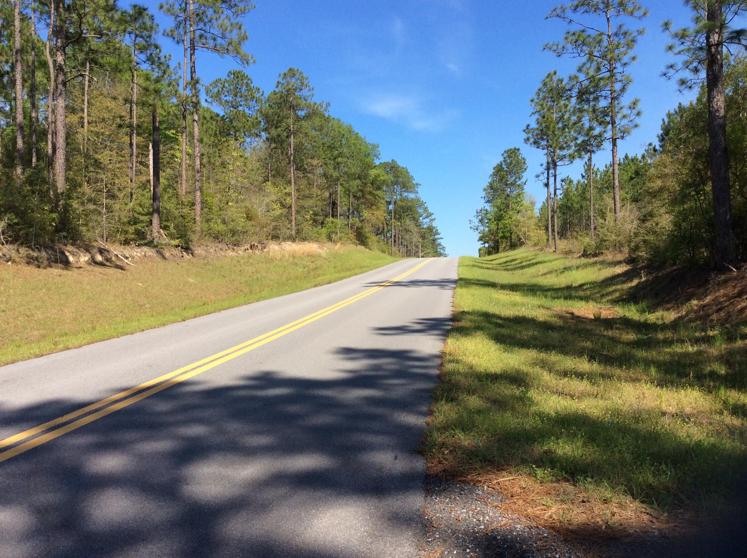 1.42-acre West Plympton Road Laurel Hill, FL 32567 - Photo 2 of 8 image