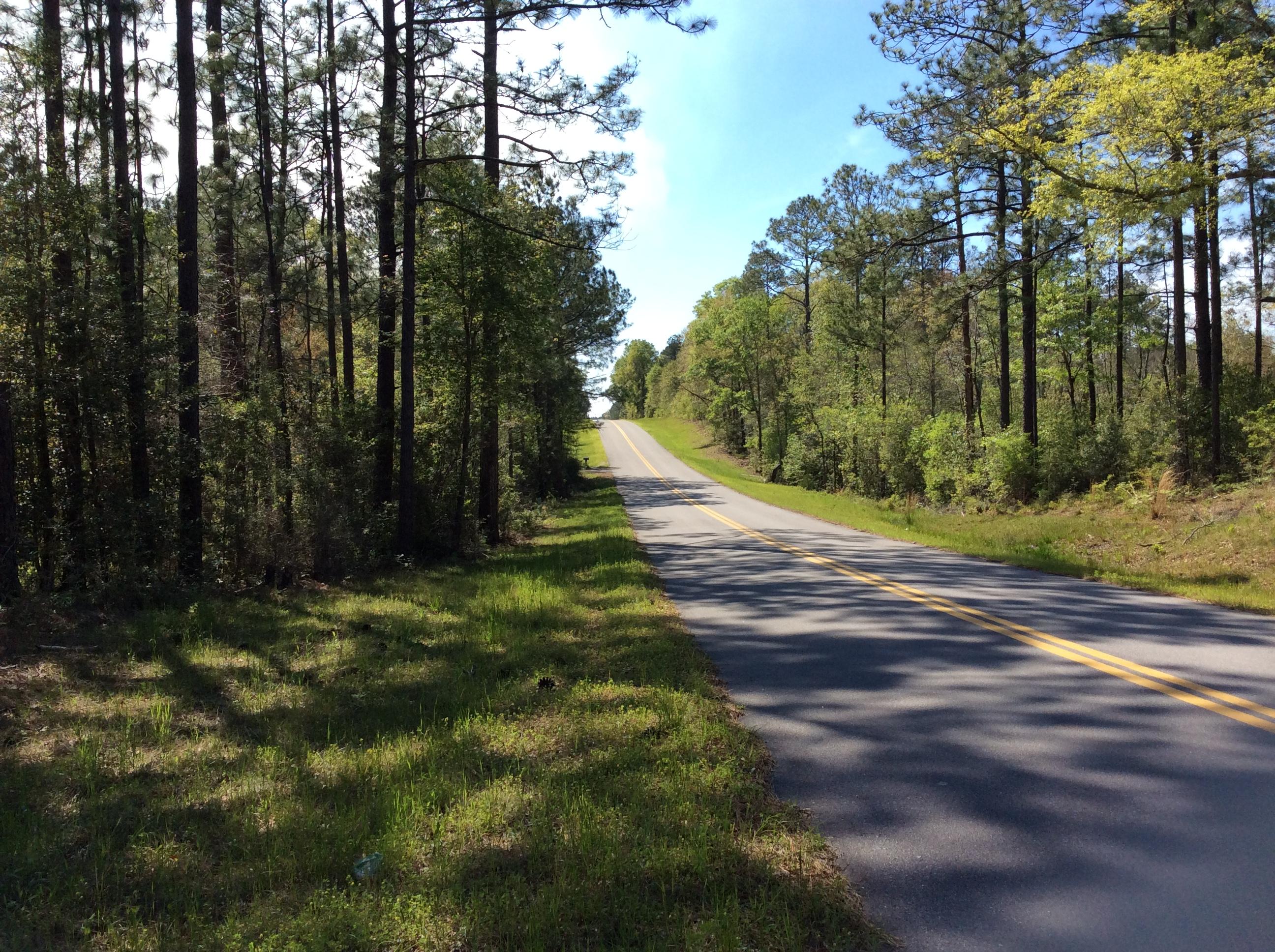 1.42-acre West Plympton Road Laurel Hill, FL 32567 - Photo 3 of 8 image