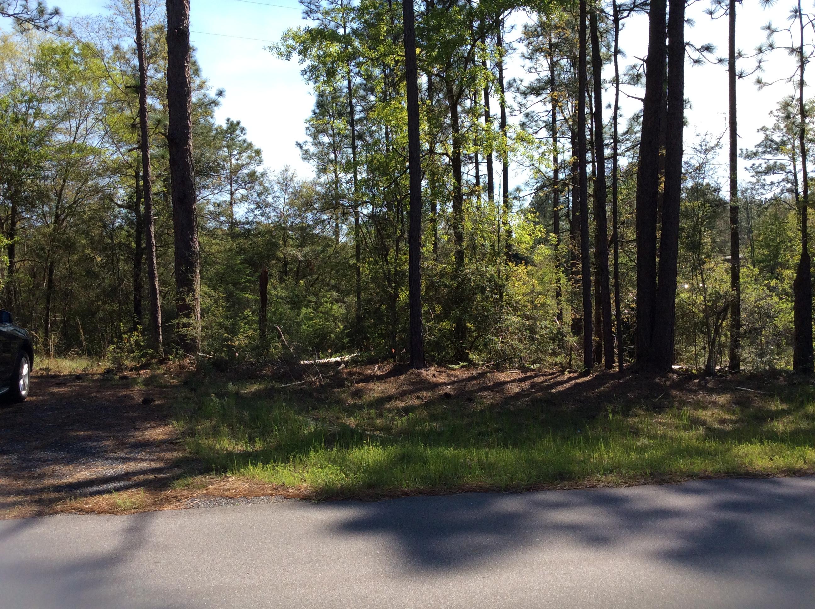1.42-acre West Plympton Road Laurel Hill, FL 32567 - Photo 4 of 8 image