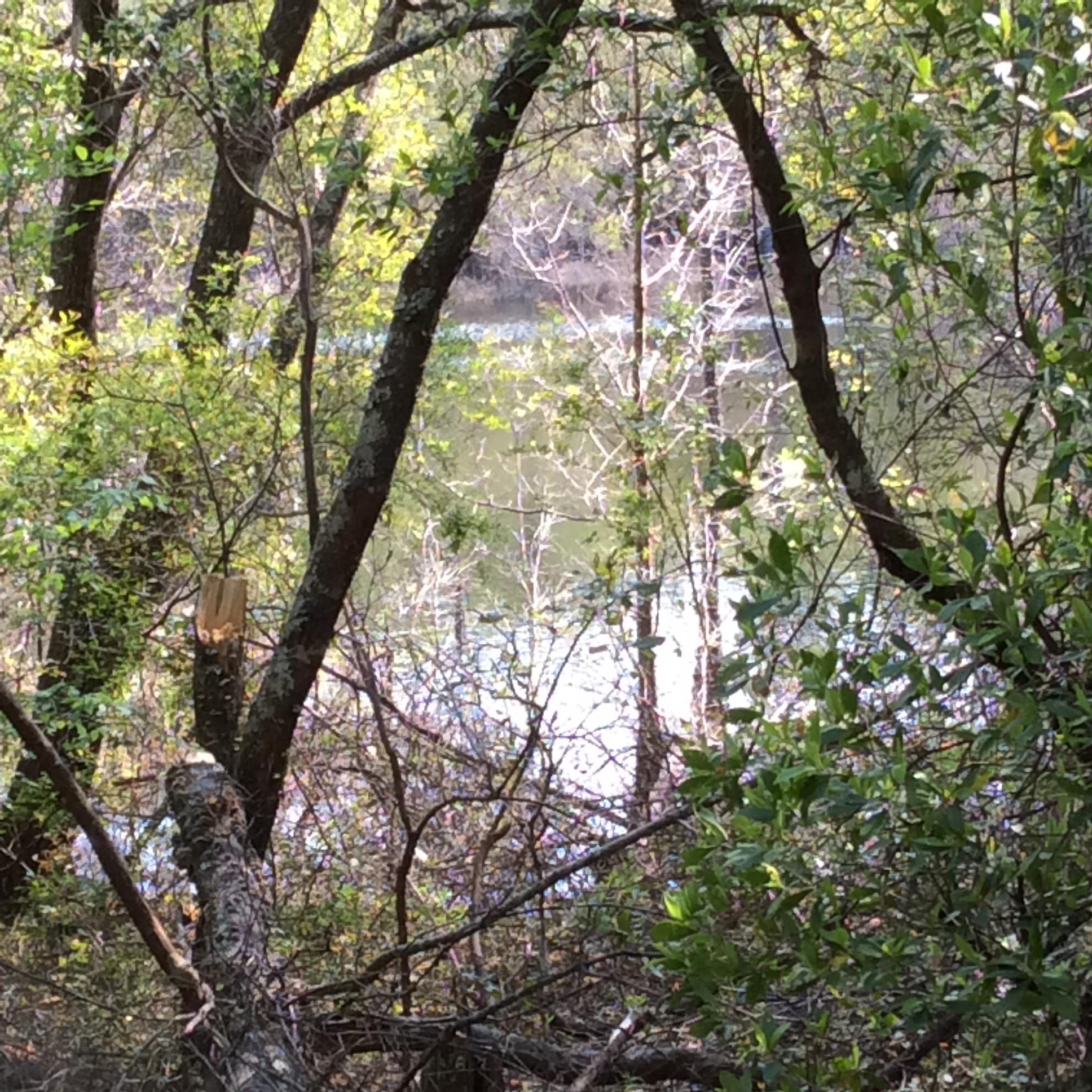 1.42-acre West Plympton Road Laurel Hill, FL 32567 - Photo 5 of 8 image