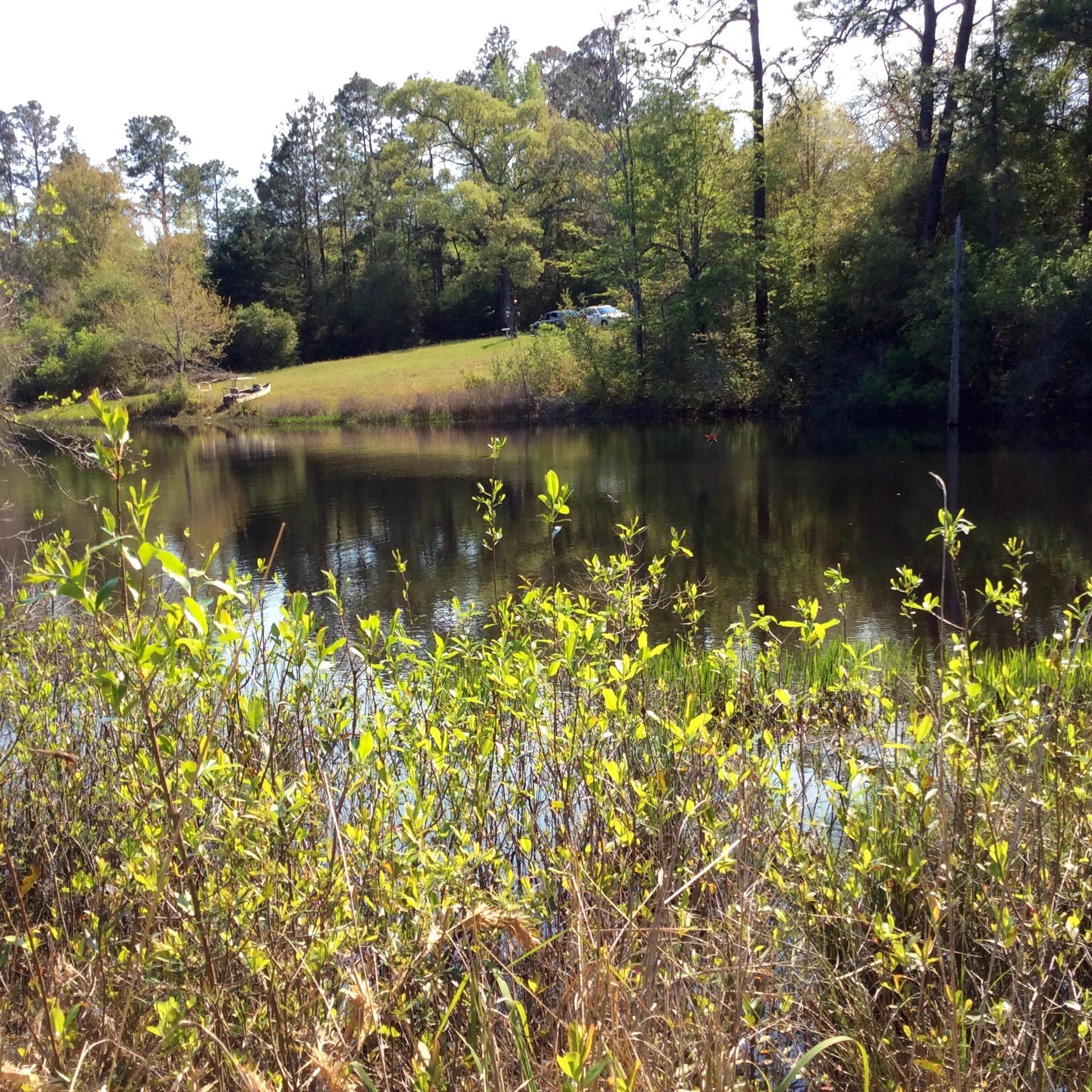 1.42-acre West Plympton Road Laurel Hill, FL 32567 - Photo 6 of 8 image