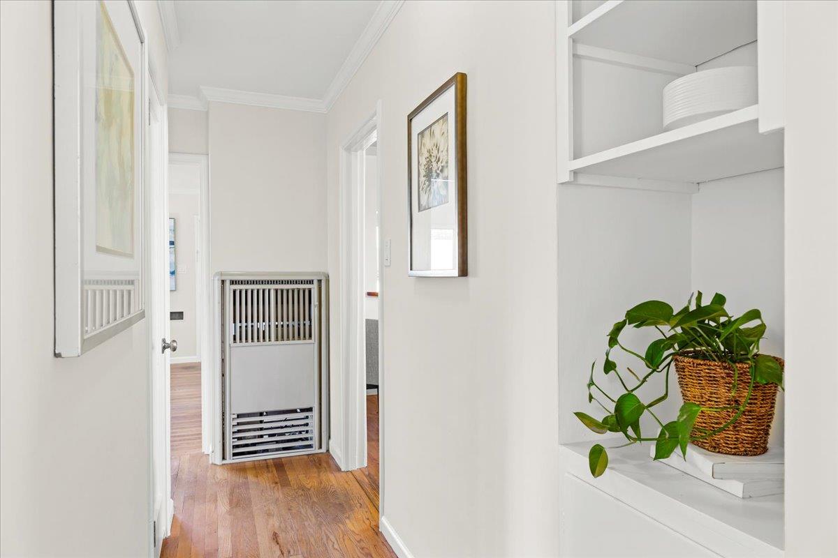 1100 Irwin Street Belmont, CA 94002 - Photo 19 of 53 a potted plant sitting on a wooden floor