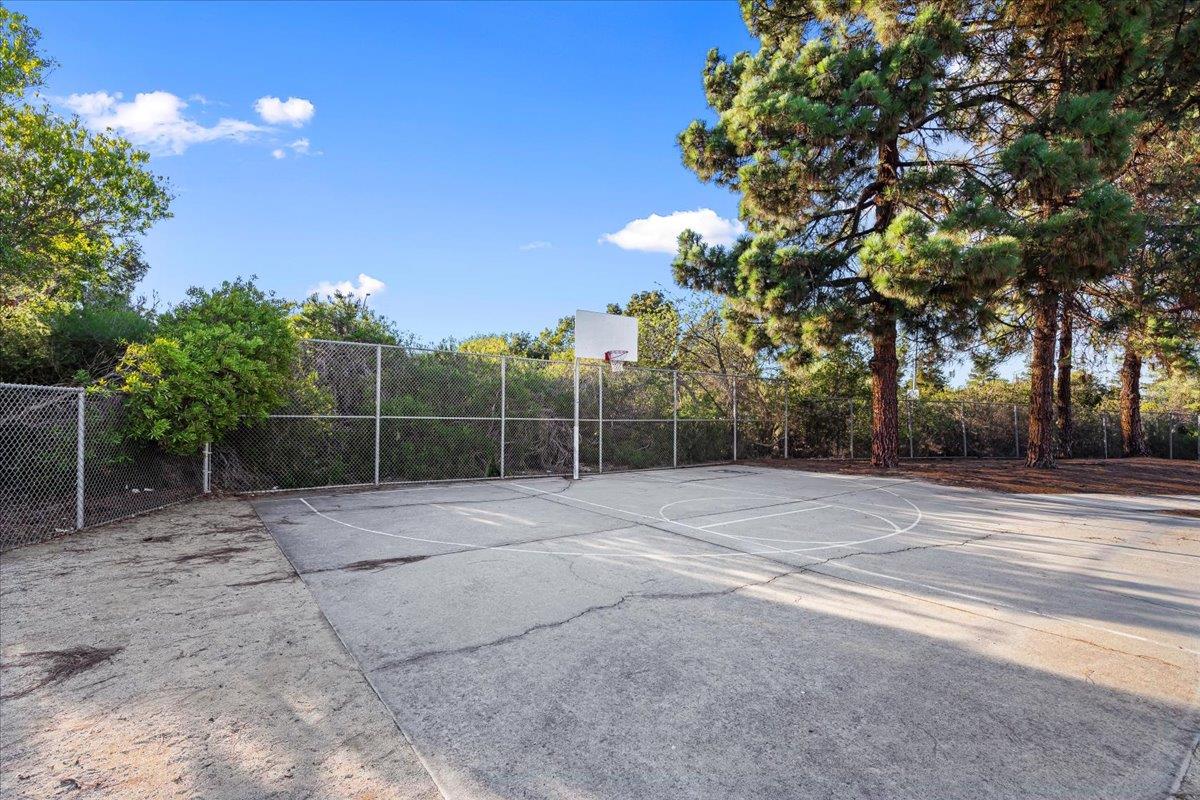 1100 Irwin Street Belmont, CA 94002 - Photo 52 of 53 a view of a yard with basketball court