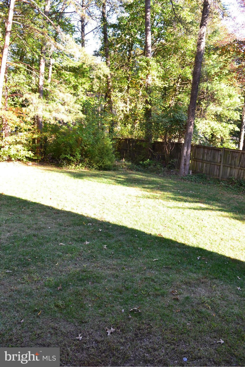 4907 Powell Road Fairfax, VA 22032 - Photo 30 of 30 Exterior (Rear)