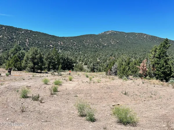 $135,000 | P14 St Minden Nv 89423, Unit 76, Dayton, NV 89403