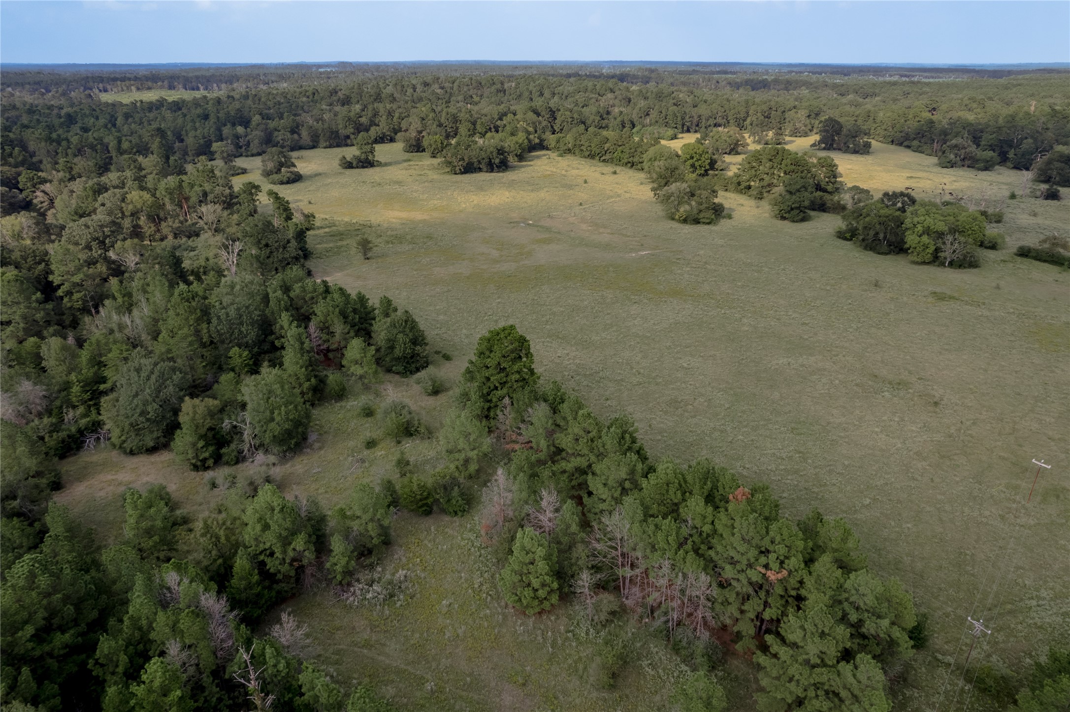 230 St Trinity Tx 75862 Trinity, TX 75862 - Photo 15 of 20