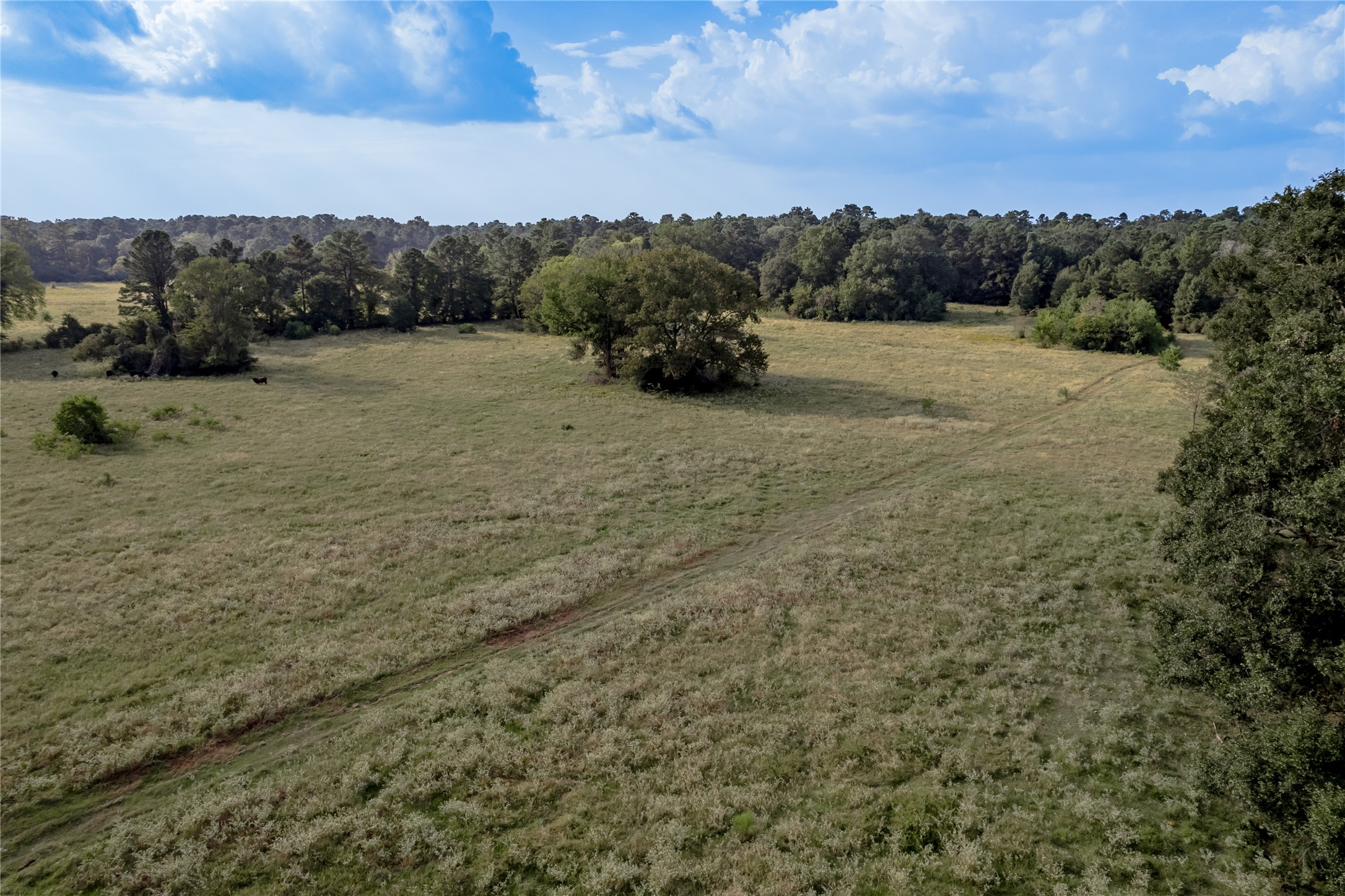 230 St Trinity Tx 75862 Trinity, TX 75862 - Photo 17 of 20