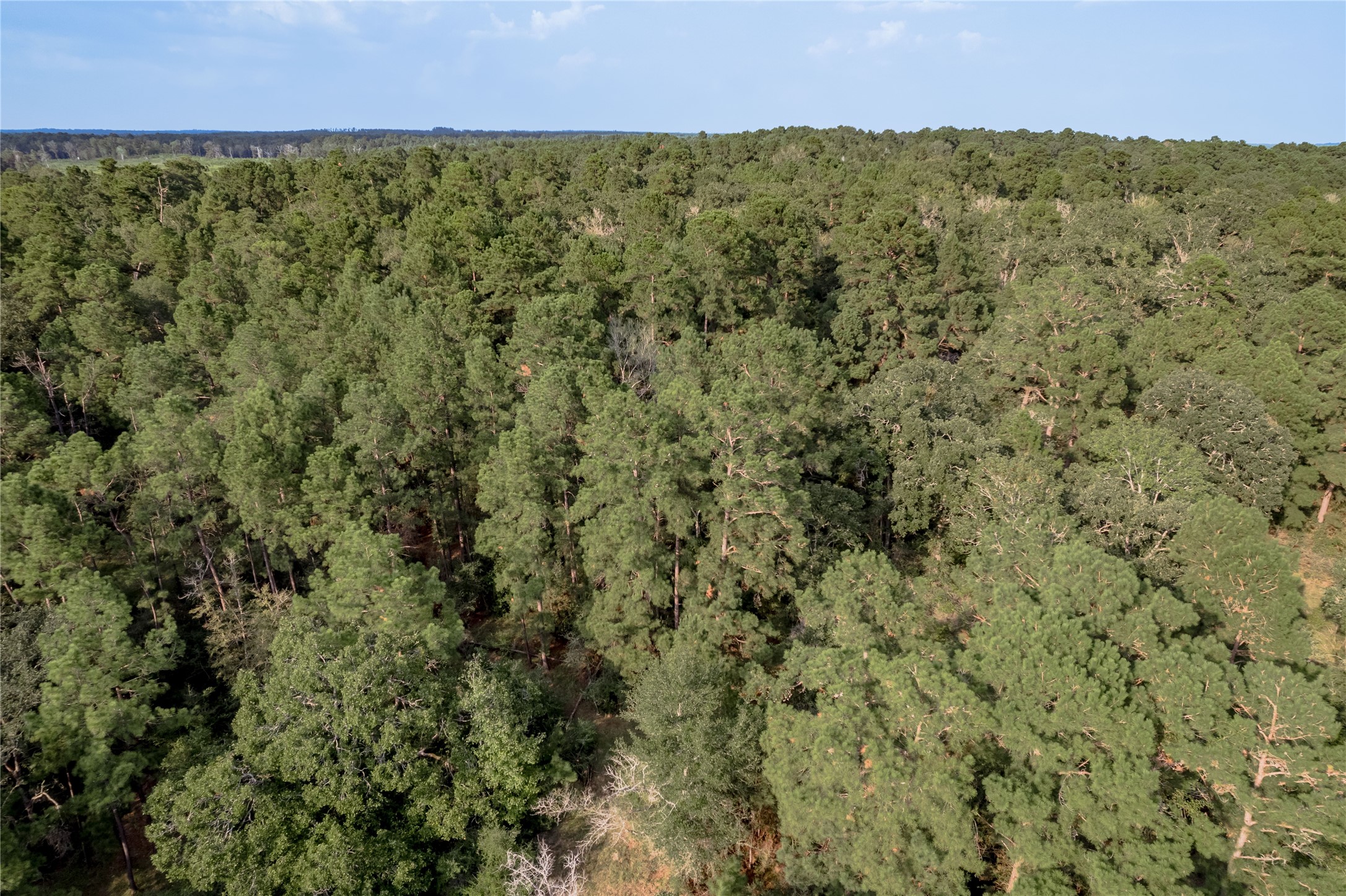 230 St Trinity Tx 75862 Trinity, TX 75862 - Photo 18 of 20