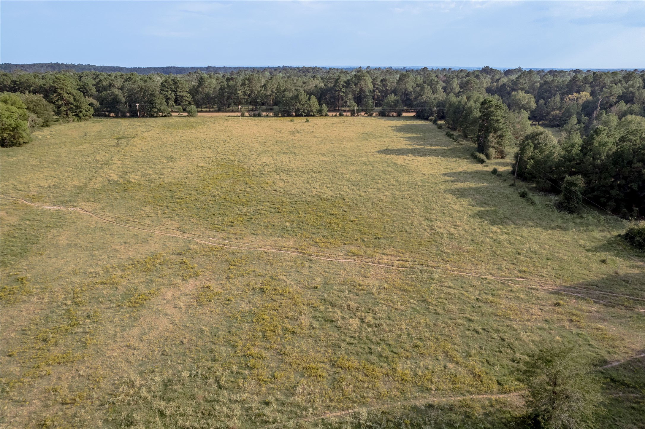 230 St Trinity Tx 75862 Trinity, TX 75862 - Photo 19 of 20