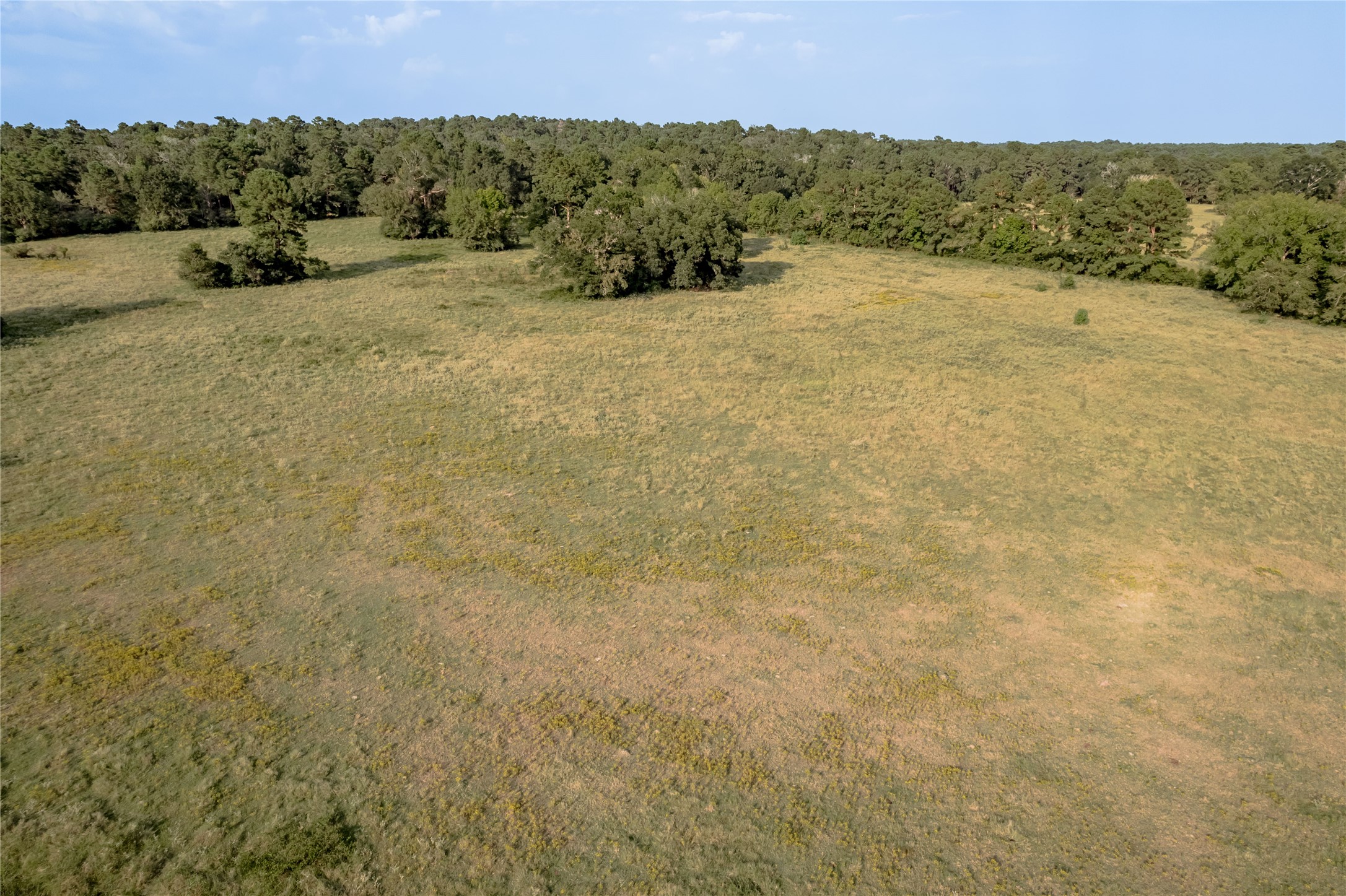 230 St Trinity Tx 75862 Trinity, TX 75862 - Photo 20 of 20