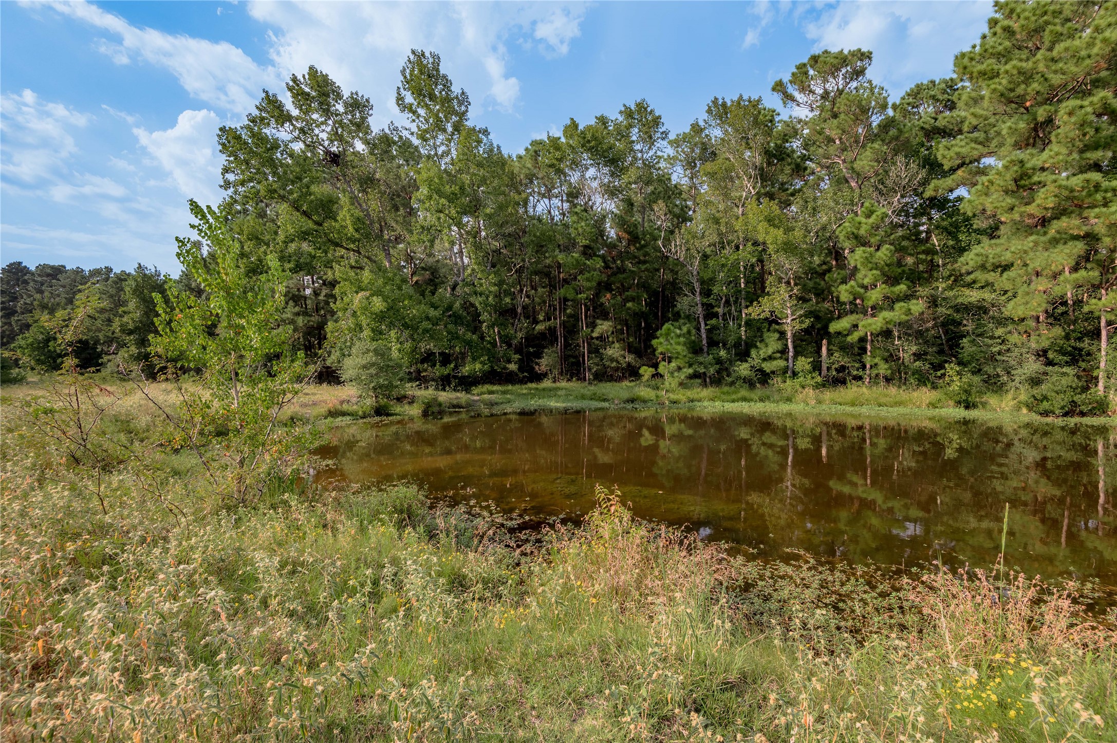 230 St Trinity Tx 75862 Trinity, TX 75862 - Photo 3 of 20