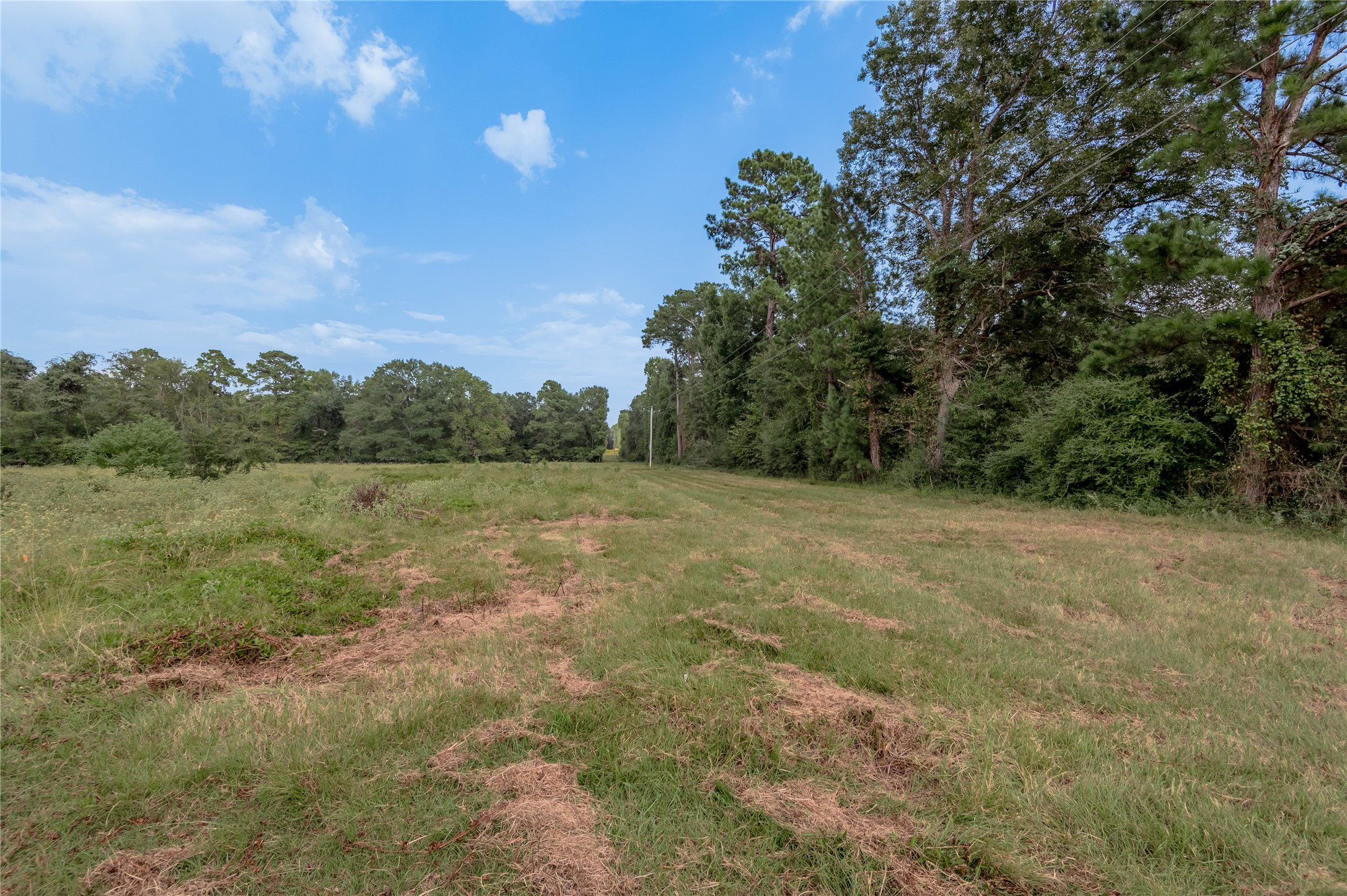 230 St Trinity Tx 75862 Trinity, TX 75862 - Photo 4 of 20