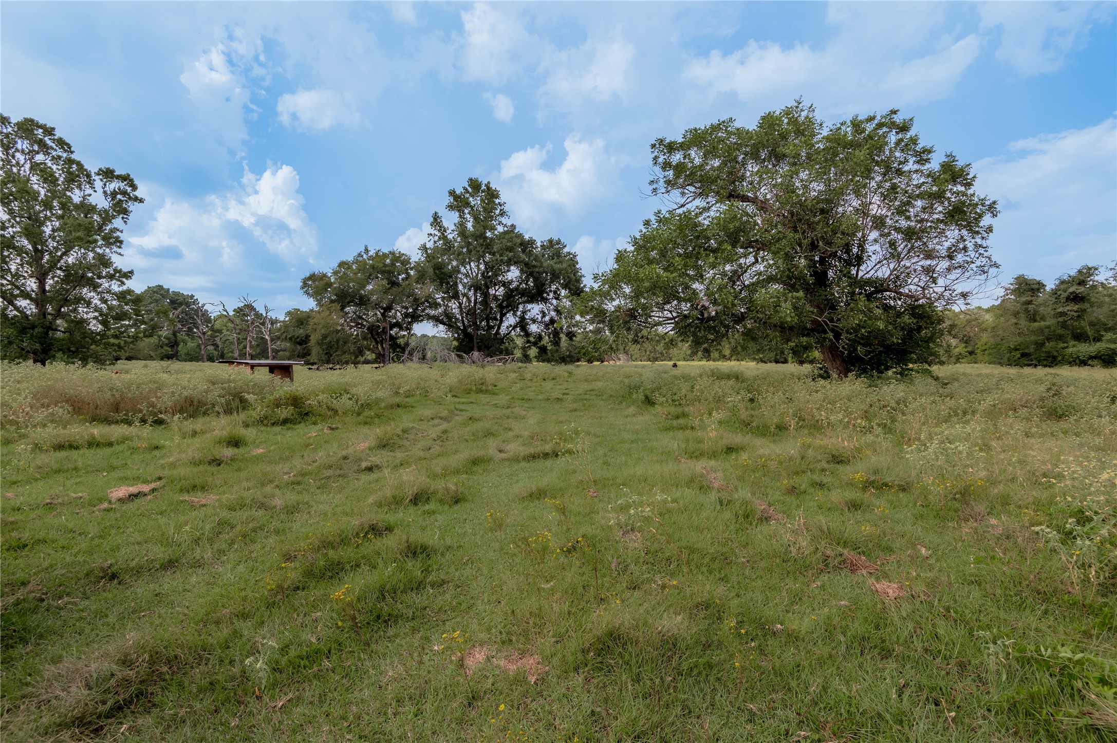 230 St Trinity Tx 75862 Trinity, TX 75862 - Photo 5 of 20