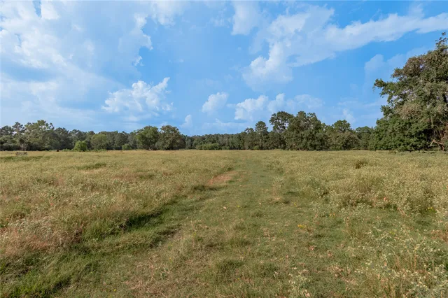 $1,299,661 | 230 St Trinity Tx 75862, Trinity, TX 75862