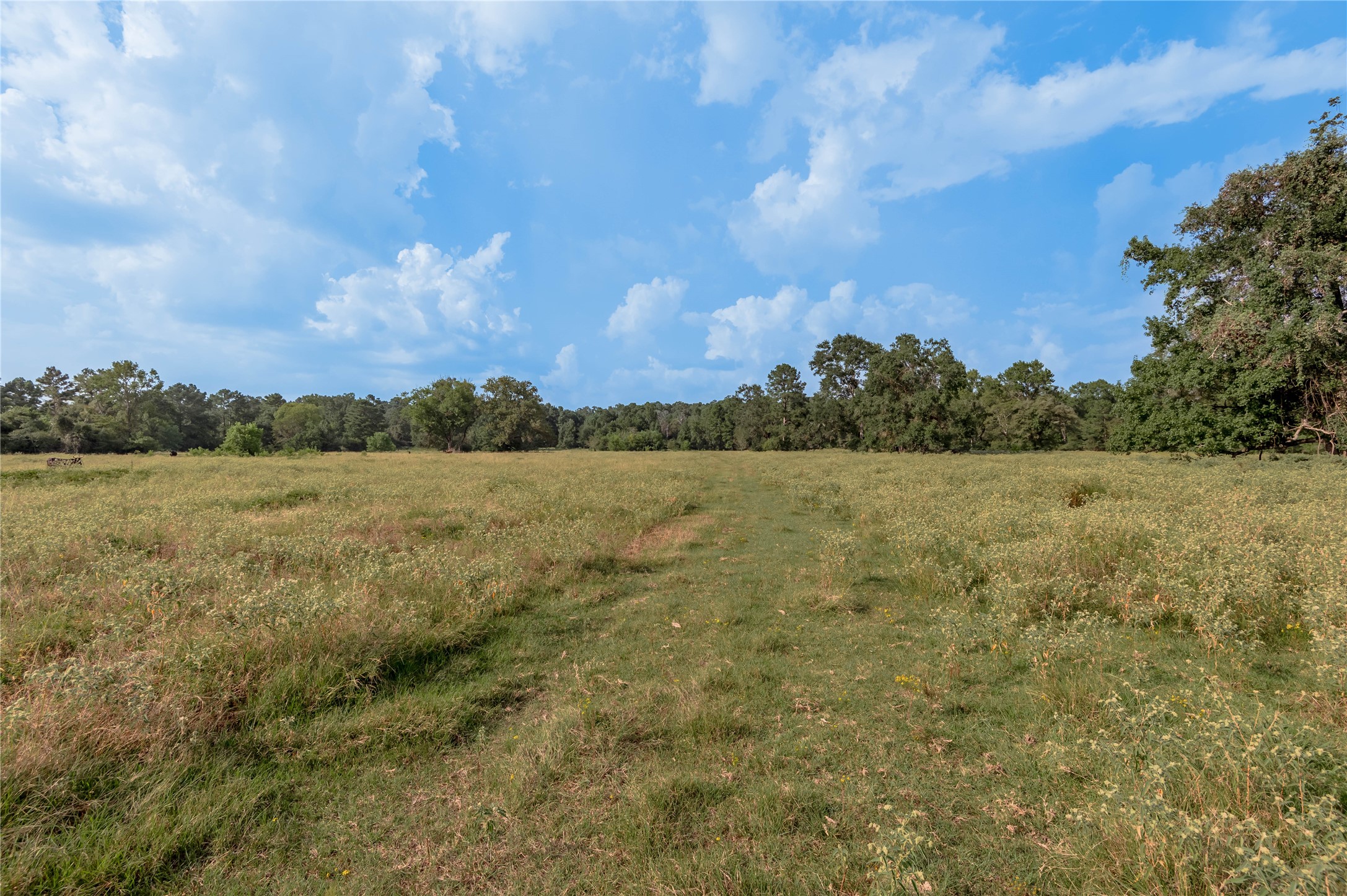 230 St Trinity Tx 75862 Trinity, TX 75862 - Photo 6 of 20