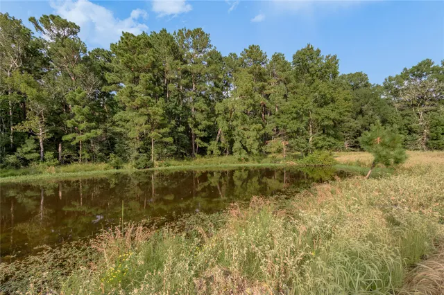 $1,299,661 | 230 St Trinity Tx 75862, Trinity, TX 75862