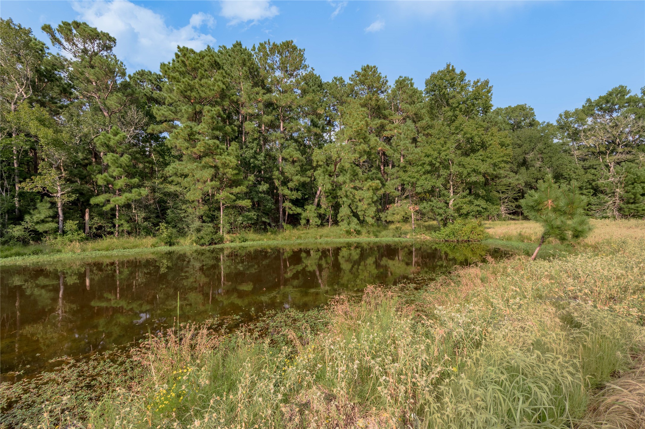 230 St Trinity Tx 75862 Trinity, TX 75862 - Photo 7 of 20