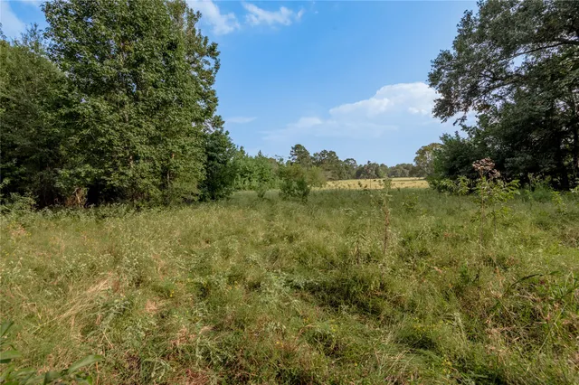 $1,299,661 | 230 St Trinity Tx 75862, Trinity, TX 75862