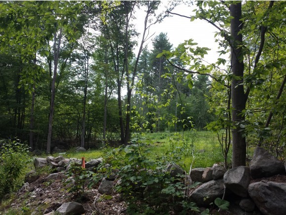 5-166-3 Christian Hill Road Antrim, NH 03440 - Photo 4 of 8 Gallery Image 4