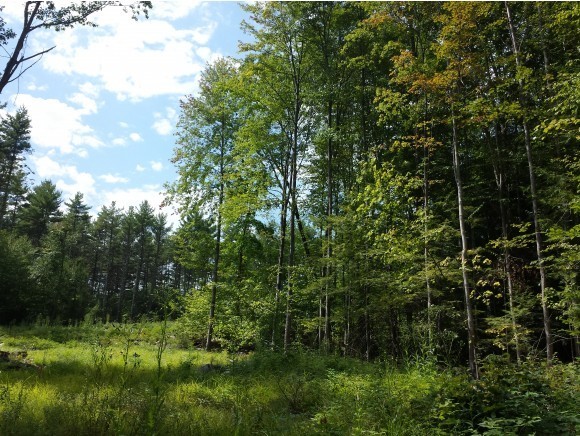 5-166-3 Christian Hill Road Antrim, NH 03440 - Photo 5 of 8 Gallery Image 5