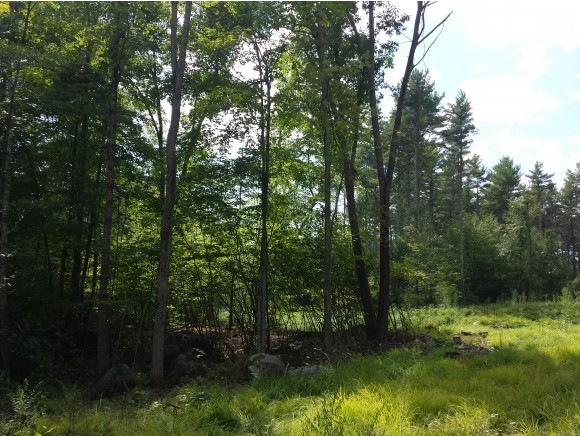 5-166-3 Christian Hill Road Antrim, NH 03440 - Photo 6 of 8 Gallery Image 6