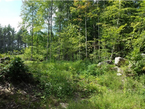 5-166-3 Christian Hill Road Antrim, NH 03440 - Photo 7 of 8 Gallery Image 7