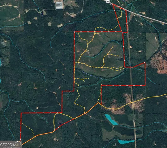 $2,275,000 | 650-ac Talbotton Highway, Butler, GA 31006
