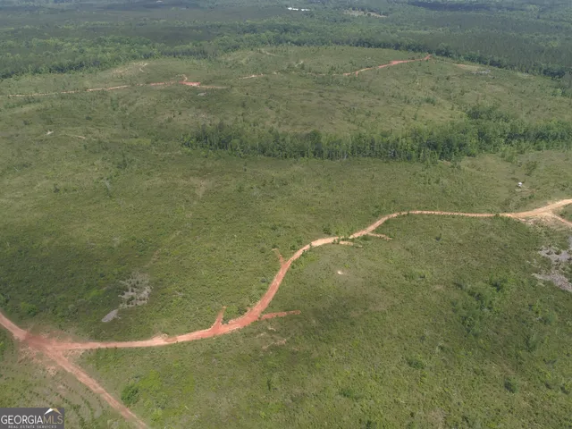 $2,275,000 | 650-ac Talbotton Highway, Butler, GA 31006