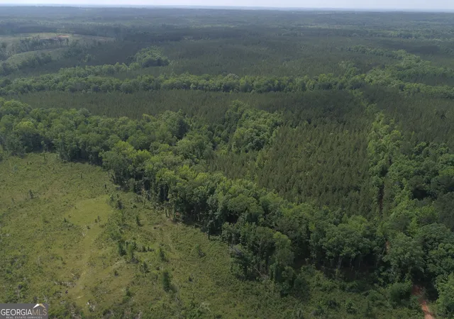 $2,275,000 | 650-ac Talbotton Highway, Butler, GA 31006