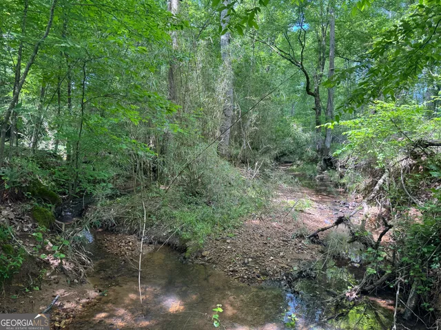 $2,275,000 | 650-ac Talbotton Highway, Butler, GA 31006