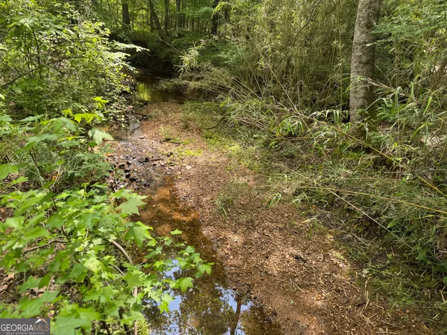 $2,275,000 | 650-ac Talbotton Highway, Butler, GA 31006