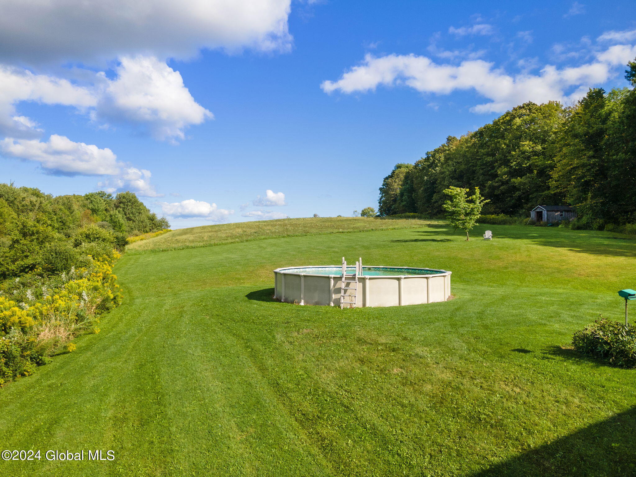 238 Mickle Road Carlisle, NY 12031 - Photo 40 of 55 Back Yard