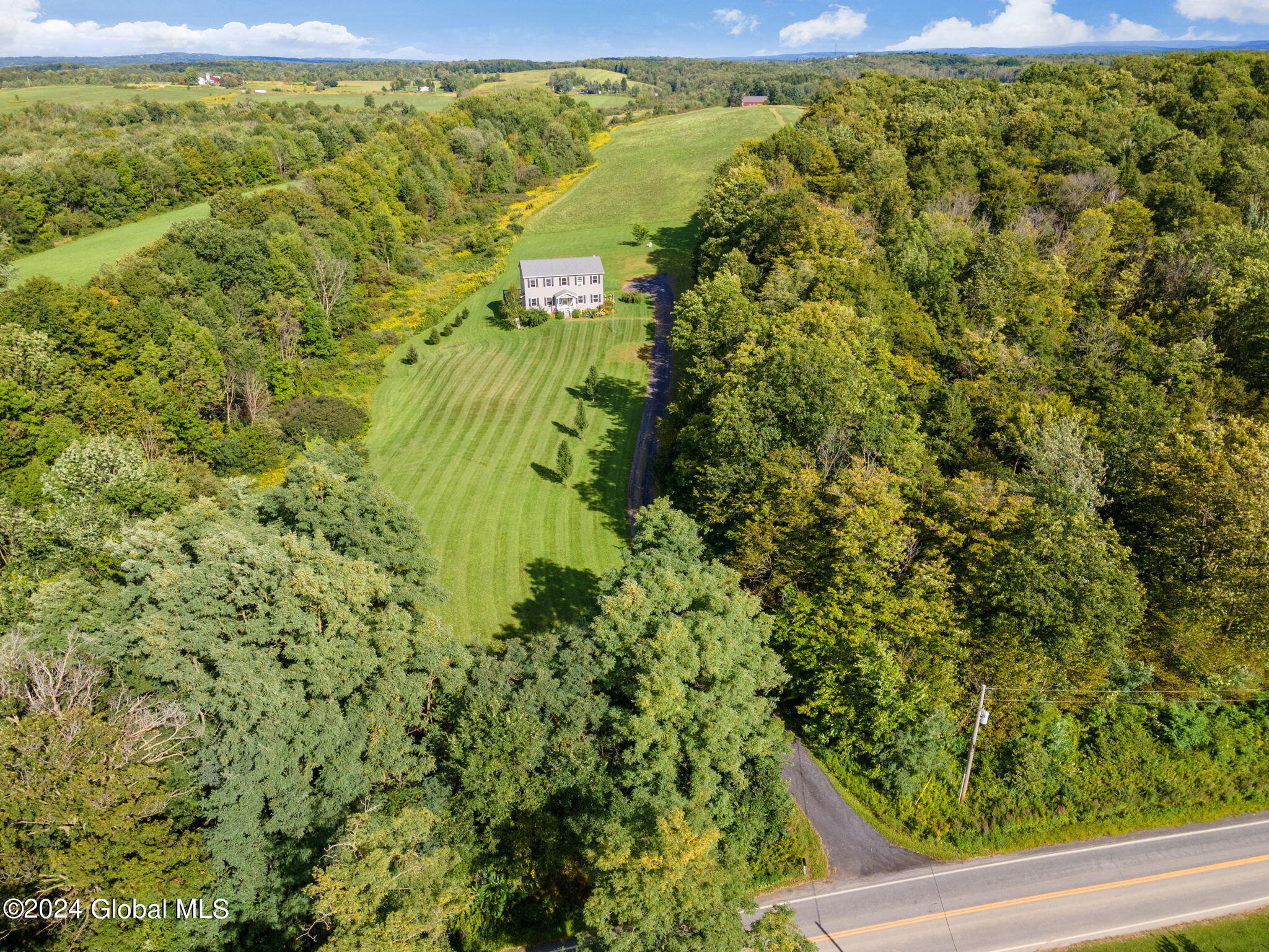238 Mickle Road Carlisle, NY 12031 - Photo 47 of 55 Driveway to Front view