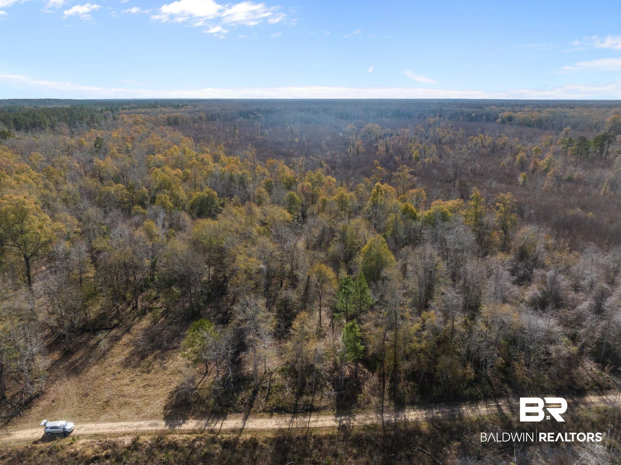 0 Bryant's Lndg Road Stockton, AL 36579 - Photo 11 of 29