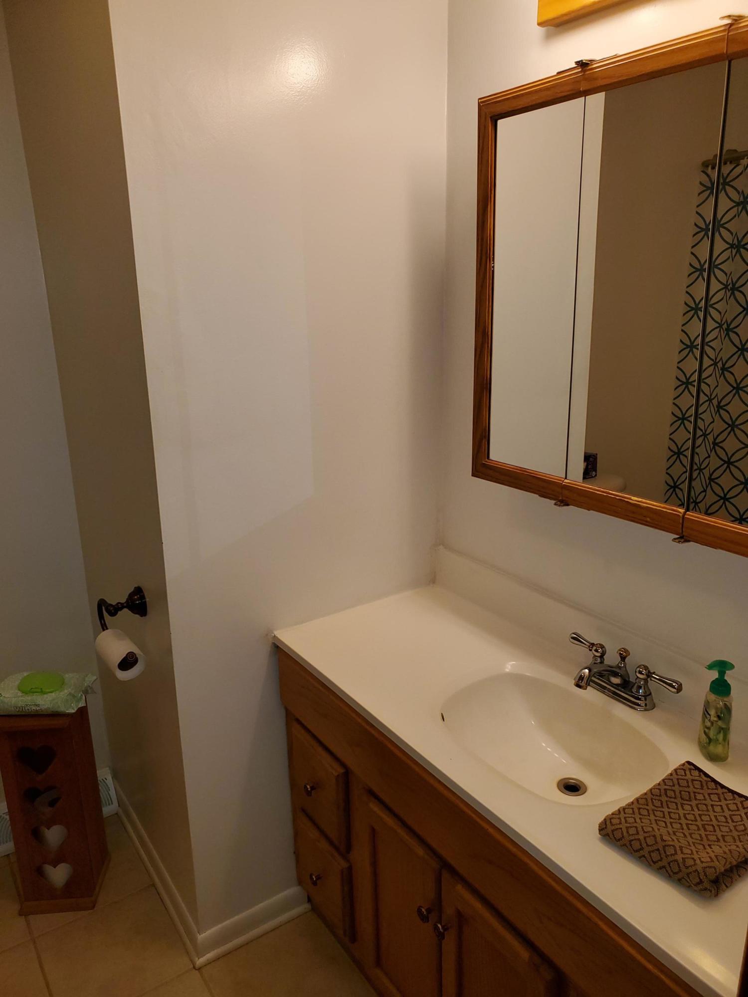3863 Fox Hollow Road Elliston, VA 24087 - Photo 14 of 25 main level bath