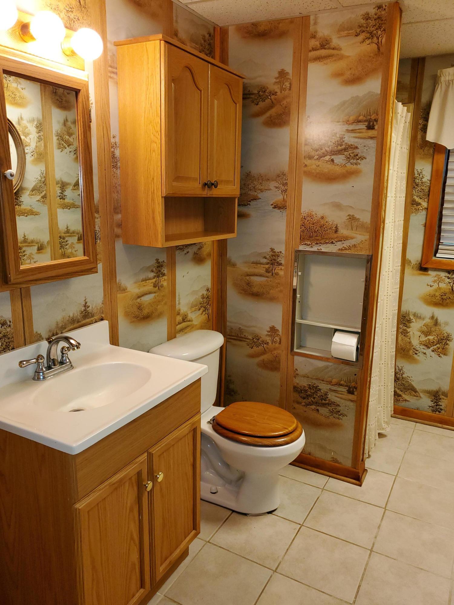 3863 Fox Hollow Road Elliston, VA 24087 - Photo 21 of 25 lower level bath