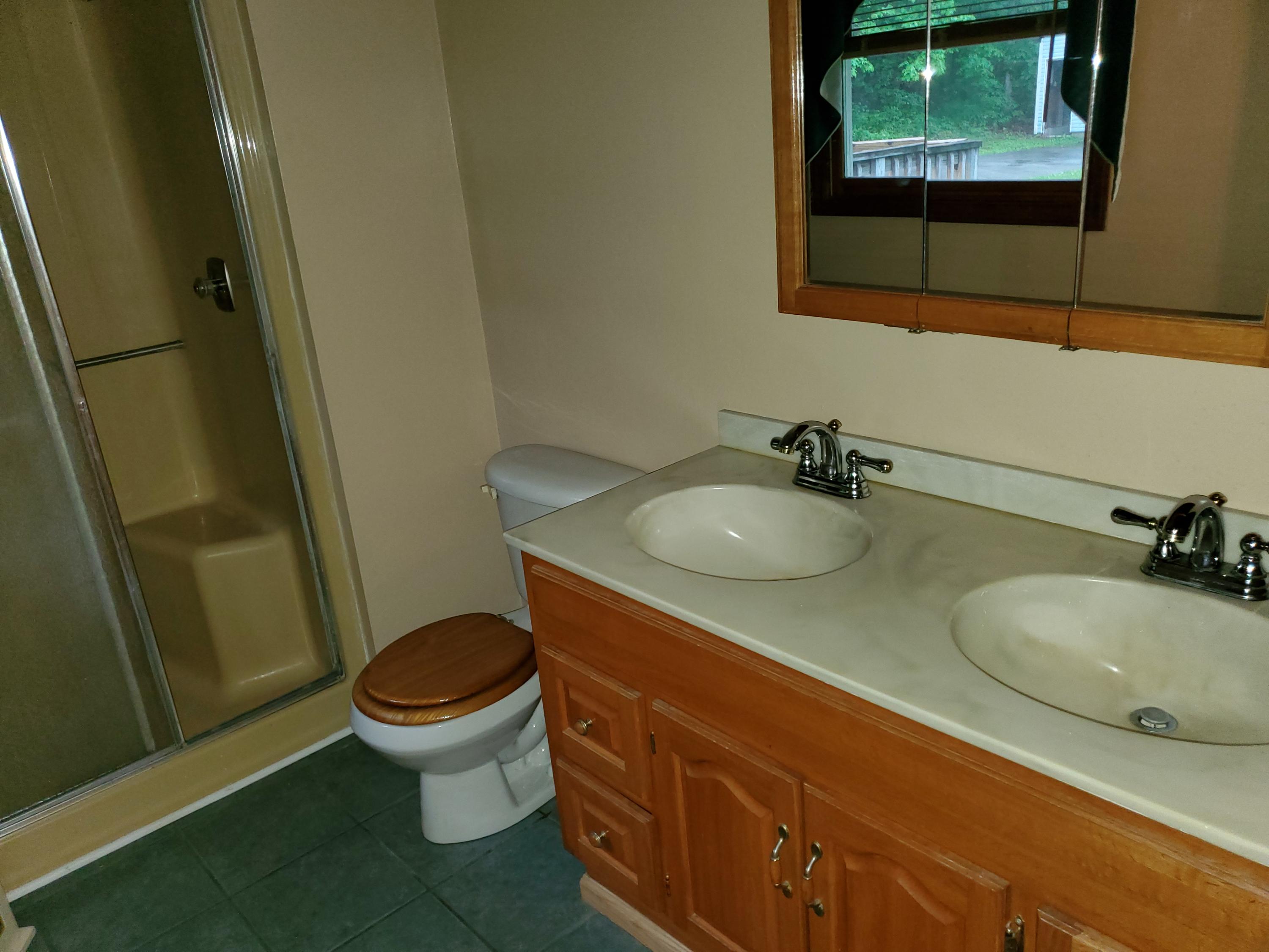 3863 Fox Hollow Road Elliston, VA 24087 - Photo 9 of 25 master bath