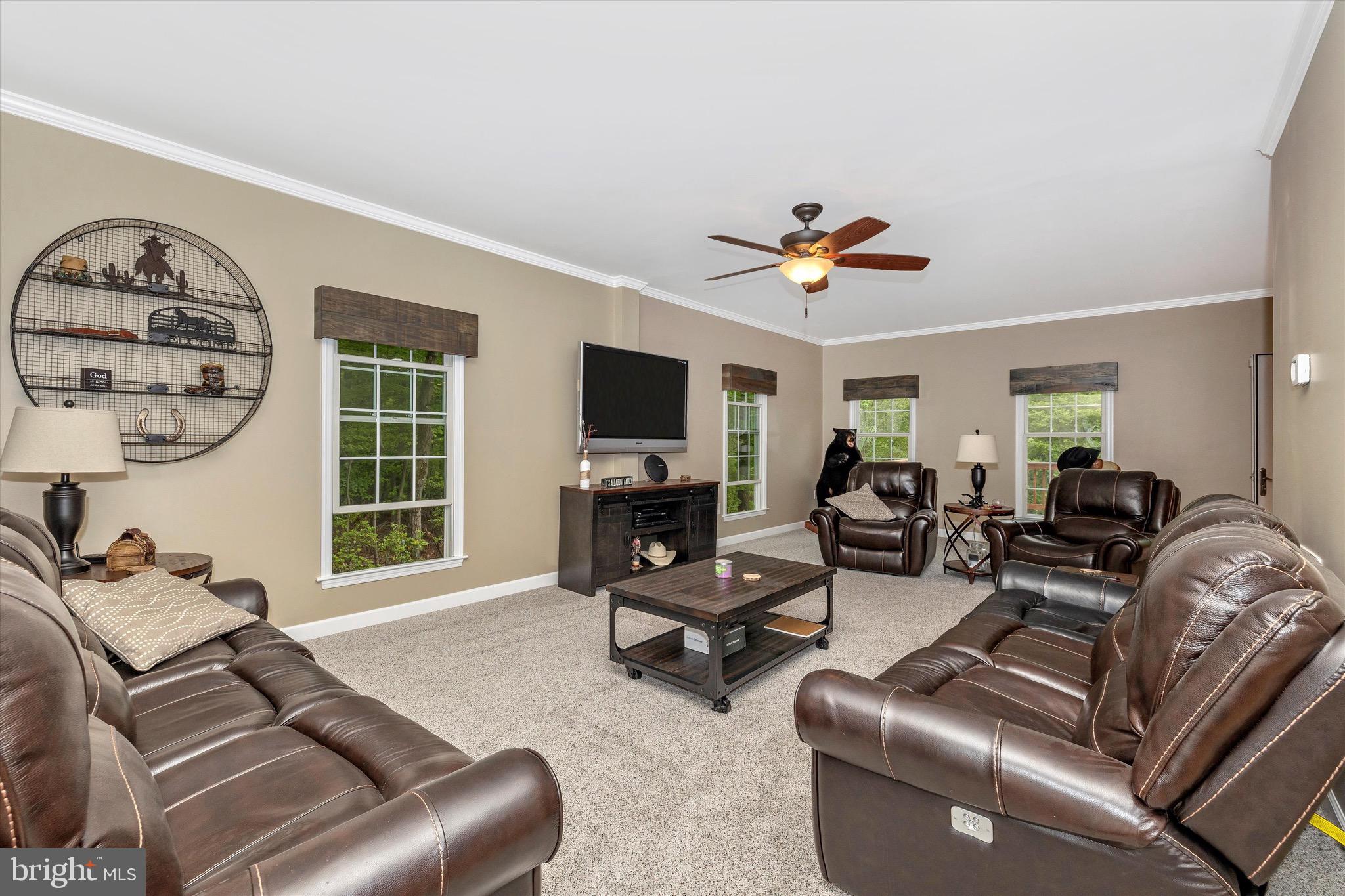 3370 Basford Road Frederick, MD 21703 - Photo 8 of 70 Main level family room with new carpet
