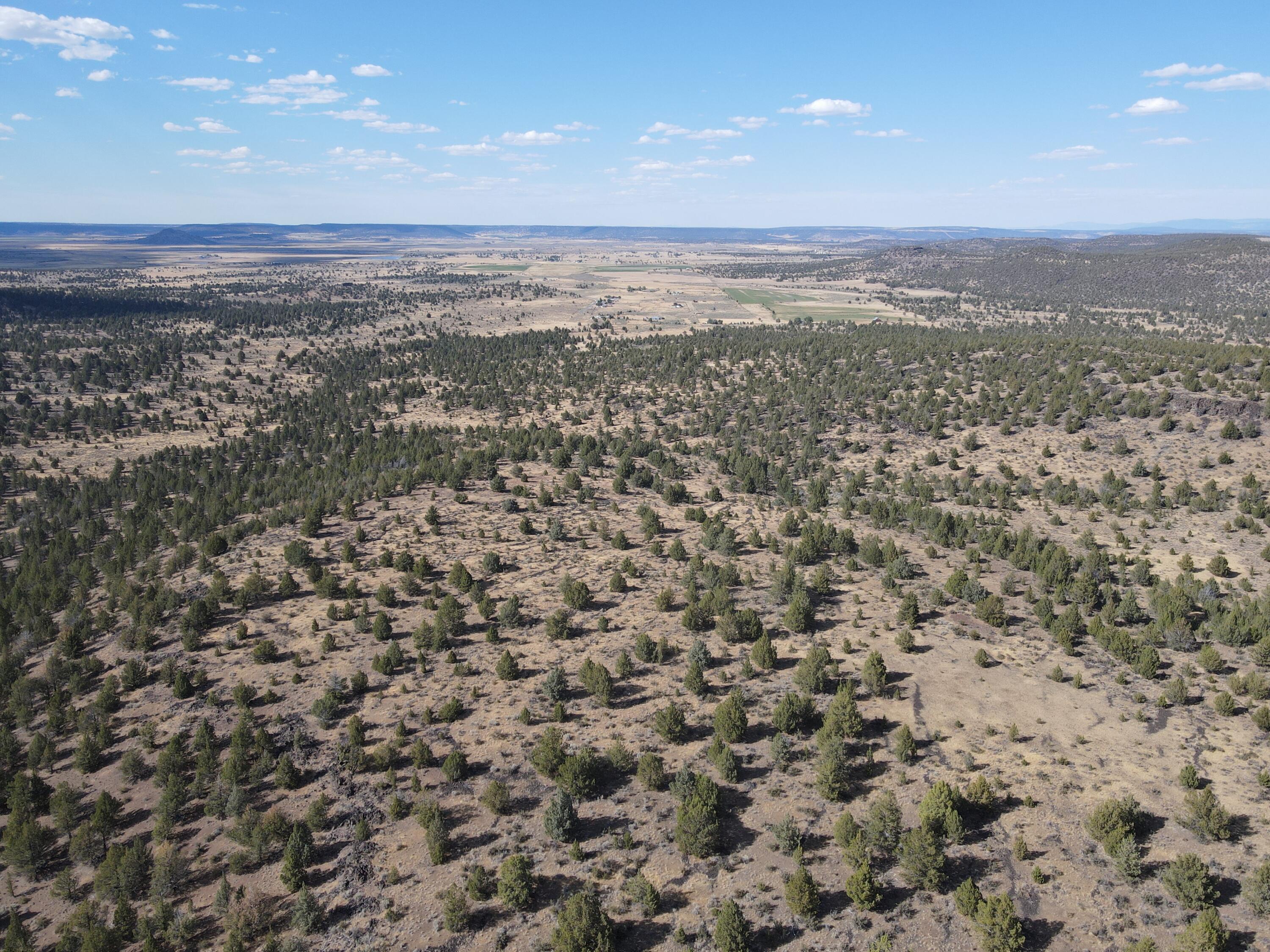 an aerial view of houses with city view