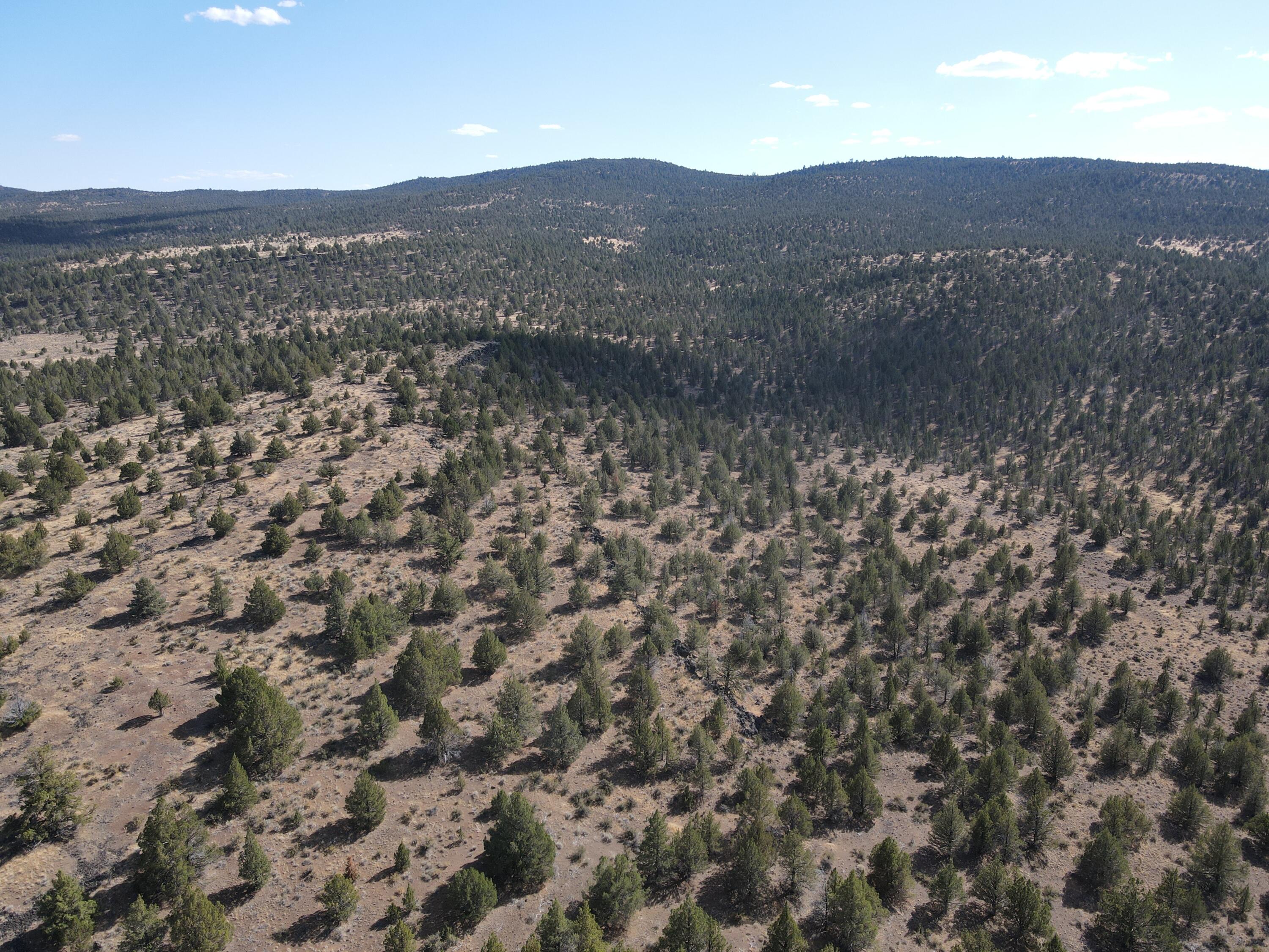 72 County Road 72 Alturas, CA 96101 - Photo 12 of 16 a view of a field with mountains in the background