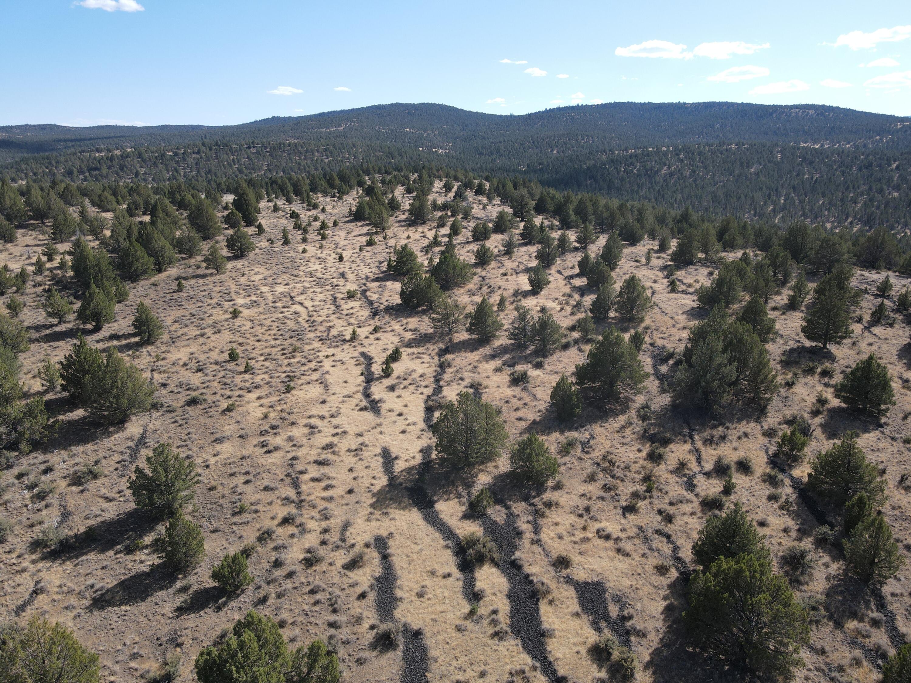 72 County Road 72 Alturas, CA 96101 - Photo 13 of 16 a view of a mountain in the distance