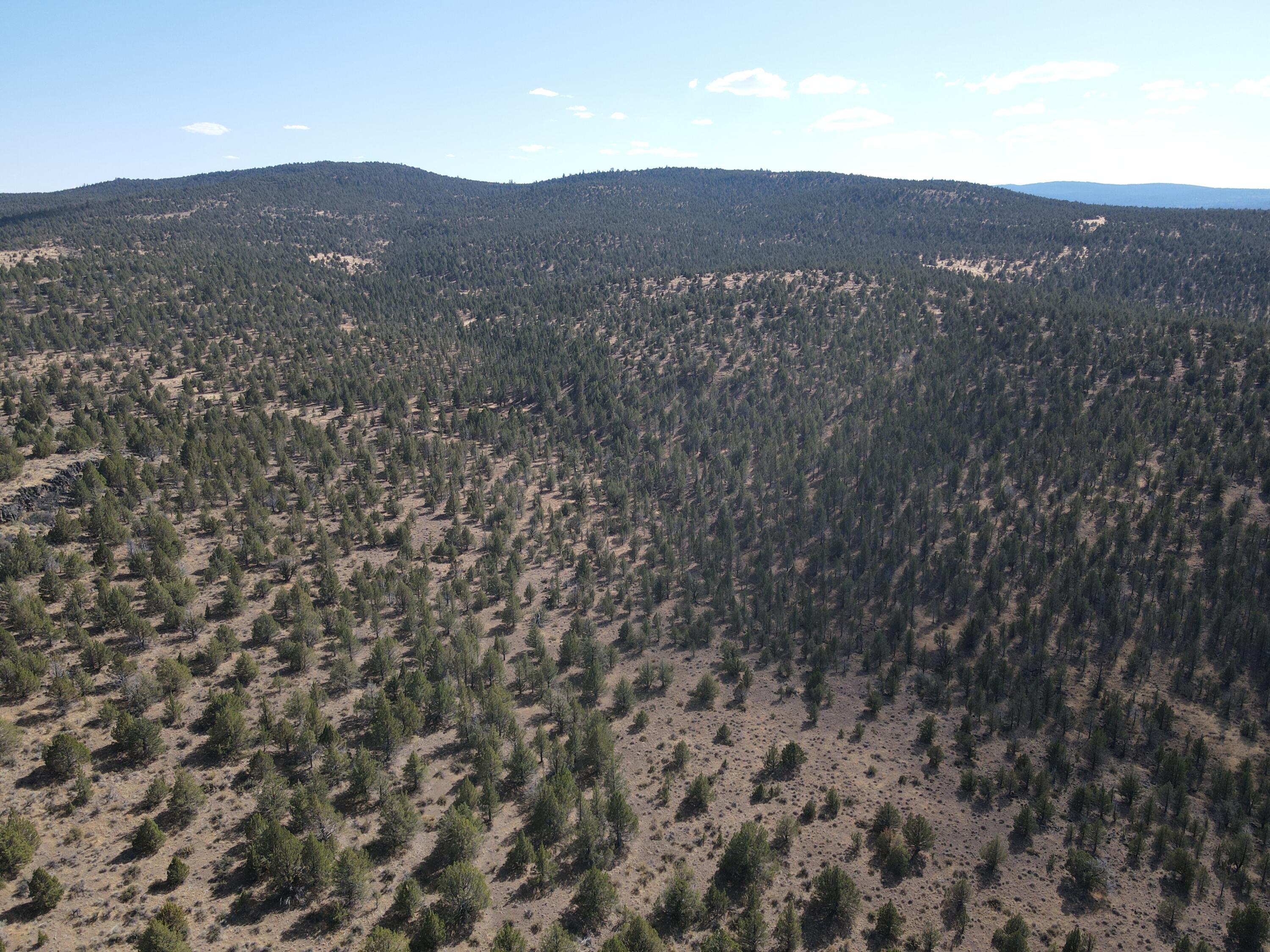 72 County Road 72 Alturas, CA 96101 - Photo 14 of 16 a view of a mountain in the distance in a field
