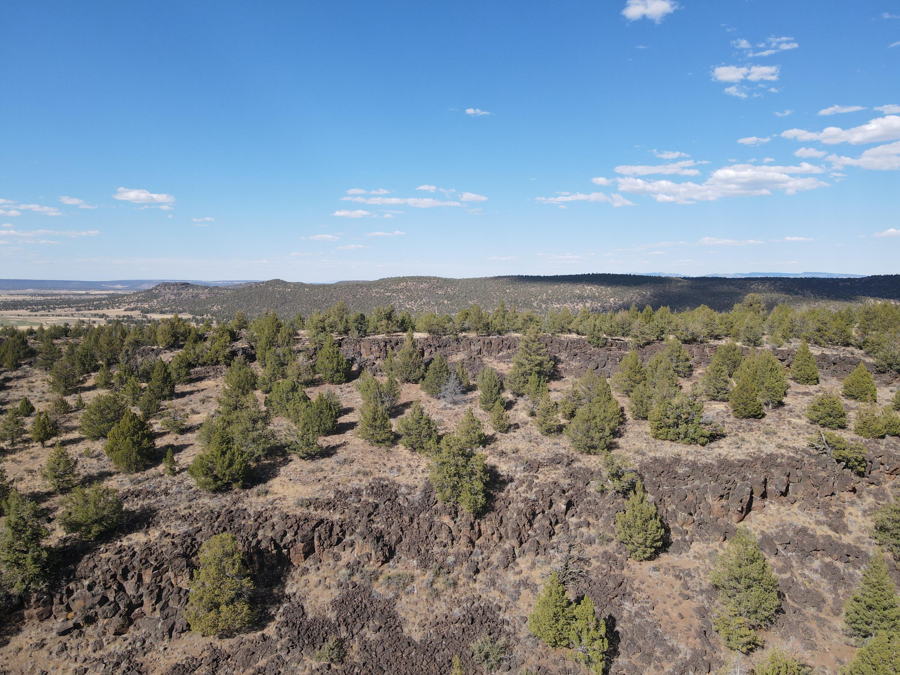 72 County Road 72 Alturas, CA 96101 - Photo 6 of 16