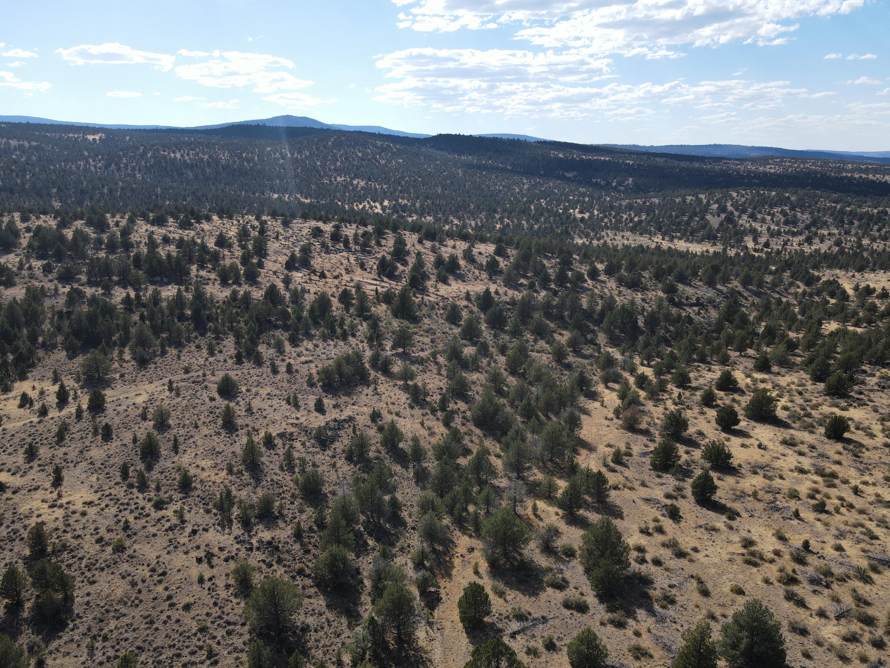 72 County Road 72 Alturas, CA 96101 - Photo 8 of 16 a view of city and mountain