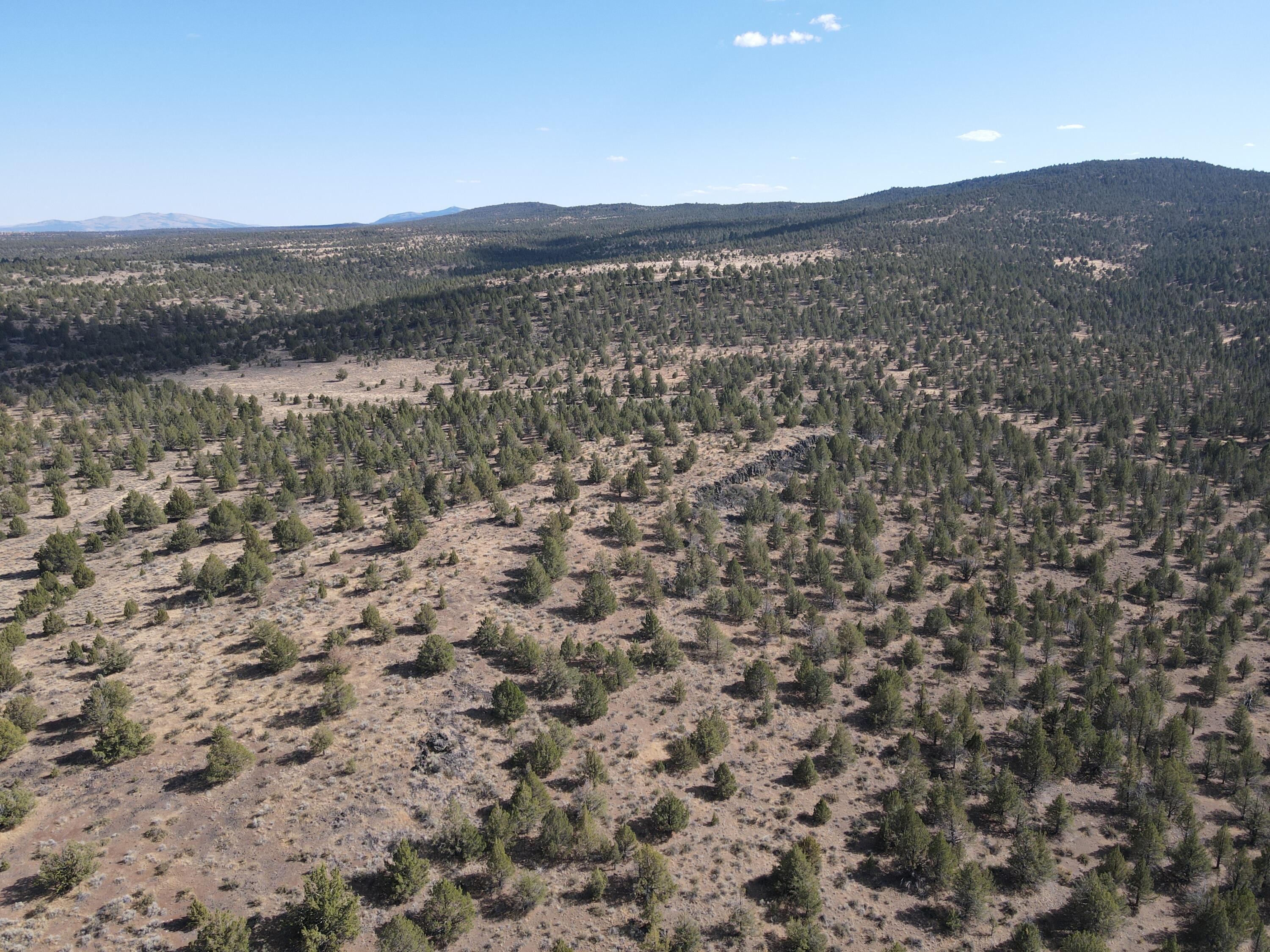 72 County Road 72 Alturas, CA 96101 - Photo 9 of 16 a view of lake and mountain