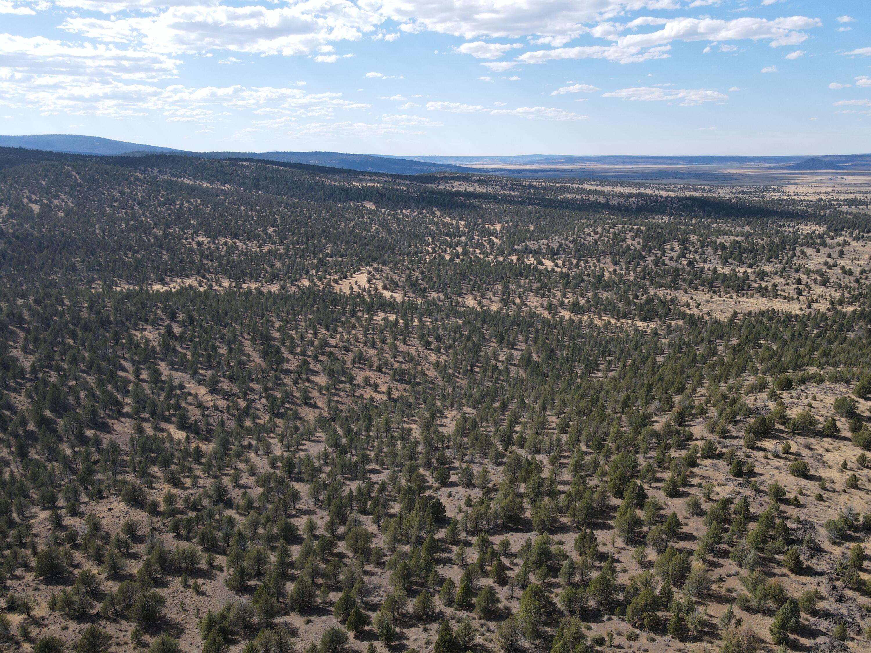72 County Road 72 Alturas, CA 96101 - Photo 10 of 16 a view of city and mountain