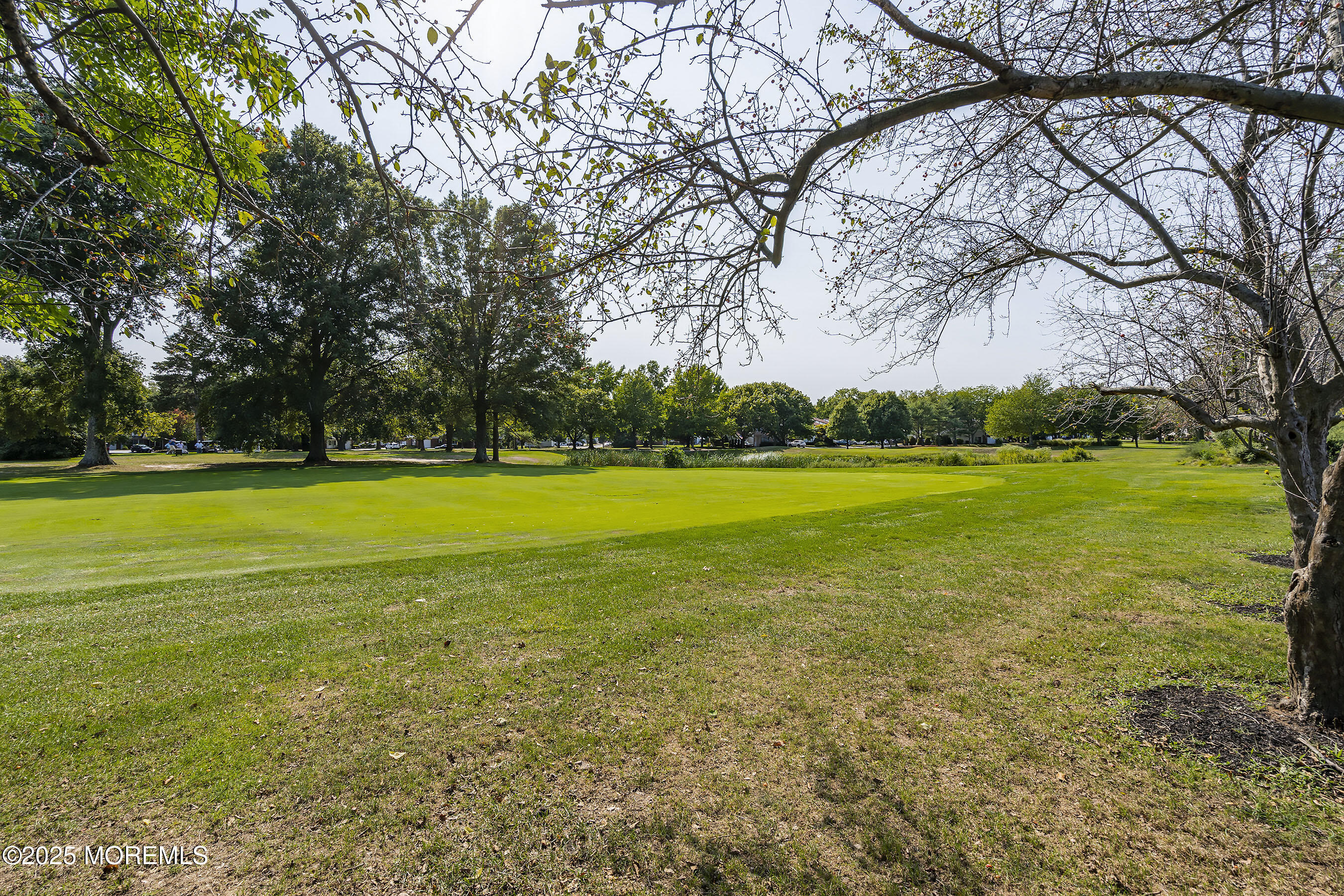 59 Walnut Drive Spring Lake Heights, NJ 07762 - Photo 50 of 59 a view of a big yard with plants and large trees
